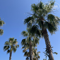 фото из отзыва ID 2720207