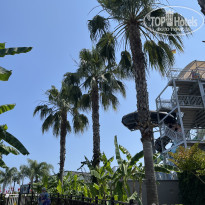 фото из отзыва ID 2720207