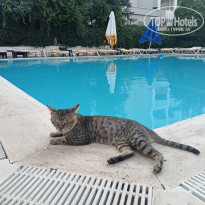 фото из отзыва ID 2720021