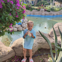 фото из отзыва ID 2720077