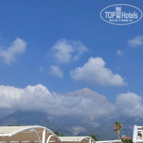 фото из отзыва ID 2720077