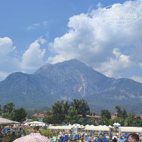 фото из отзыва ID 2720077