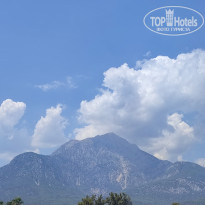 фото из отзыва ID 2720077