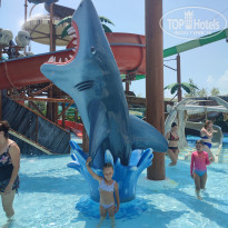 фото из отзыва ID 2720077