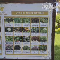 фото из отзыва ID 2720077