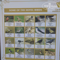 фото из отзыва ID 2720077