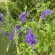 фото из отзыва ID 2720333