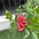 фото из отзыва ID 2720333