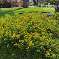 фото из отзыва ID 2720335