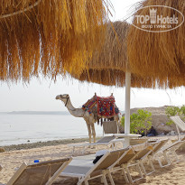 фото из отзыва ID 2720346