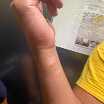 фото из отзыва ID 2720411