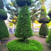 фото из отзыва ID 2720434