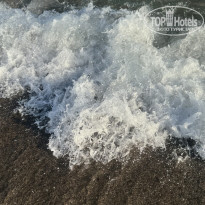 фото из отзыва ID 2720444