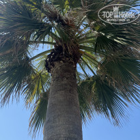 фото из отзыва ID 2720444