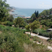 фото из отзыва ID 2720493