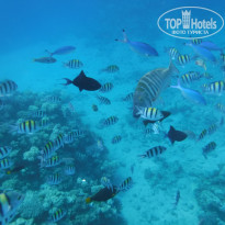 фото из отзыва ID 2720482