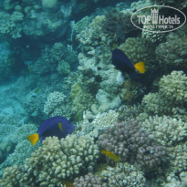 фото из отзыва ID 2720482