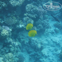 фото из отзыва ID 2720482