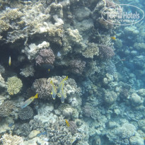 фото из отзыва ID 2720482