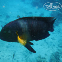 фото из отзыва ID 2720482