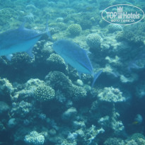 фото из отзыва ID 2720482