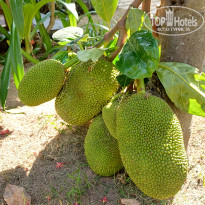 фото из отзыва ID 2720516