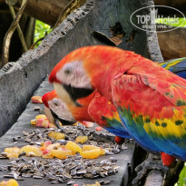 фото из отзыва ID 2720525