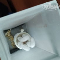 фото из отзыва ID 2720657