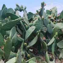 фото из отзыва ID 2720657