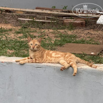 фото из отзыва ID 2720691