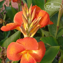 фото из отзыва ID 2720617