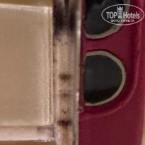 фото из отзыва ID 2720737