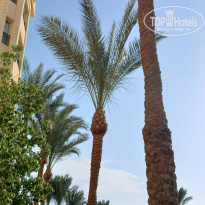 фото из отзыва ID 2720738