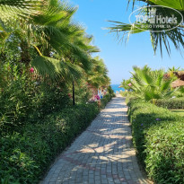 фото из отзыва ID 2720778