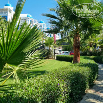 фото из отзыва ID 2720778