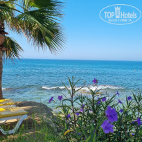 фото из отзыва ID 2720778