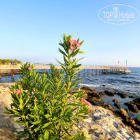 фото из отзыва ID 2720778