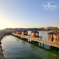 фото из отзыва ID 2720778