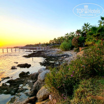 фото из отзыва ID 2720778