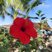 фото из отзыва ID 2720786