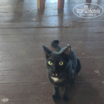 фото из отзыва ID 2720816