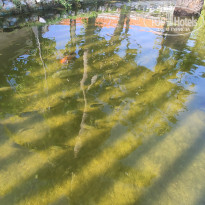 фото из отзыва ID 2720816