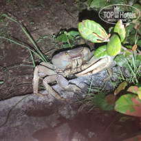 фото из отзыва ID 2720816