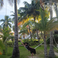 фото из отзыва ID 2720816