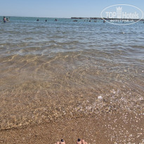 фото из отзыва ID 2720826