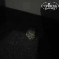 фото из отзыва ID 2720860