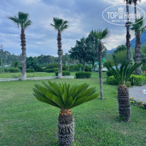 фото из отзыва ID 2720865