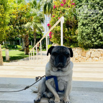 фото из отзыва ID 2720917