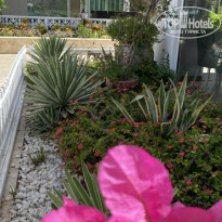 фото из отзыва ID 2720917