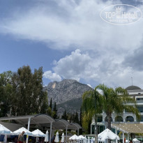 фото из отзыва ID 2720917